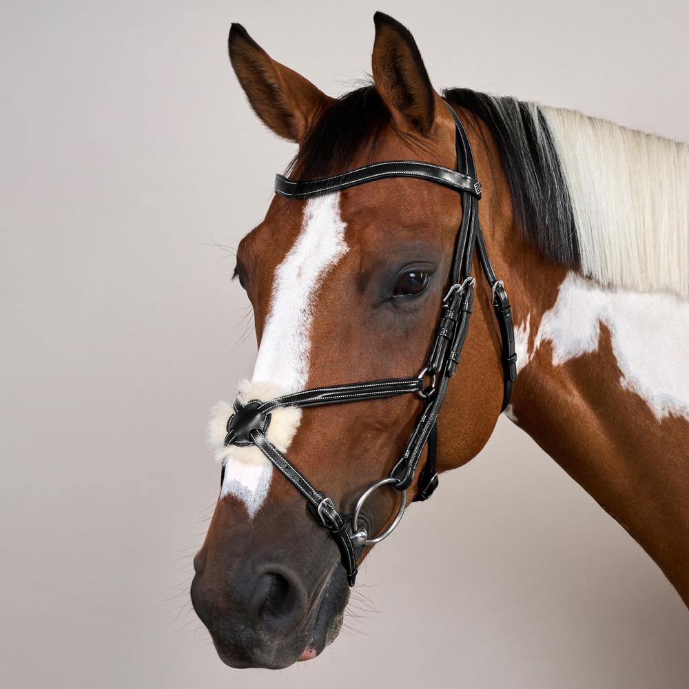 Dy'on Figure 8 Noseband Bridle Working Collection - Equiluxe Tack