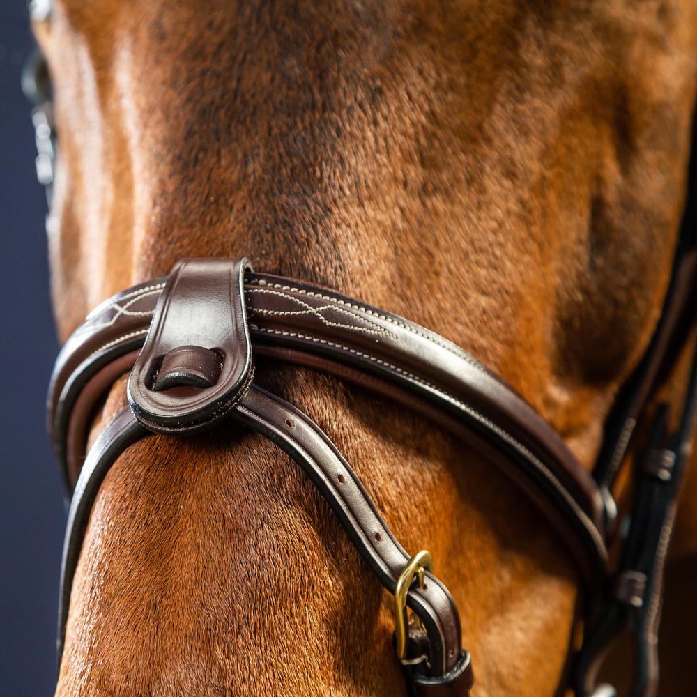 Dy'on Flash Nose Strap 1/2" With 2 Removable Attachments - Equiluxe Tack