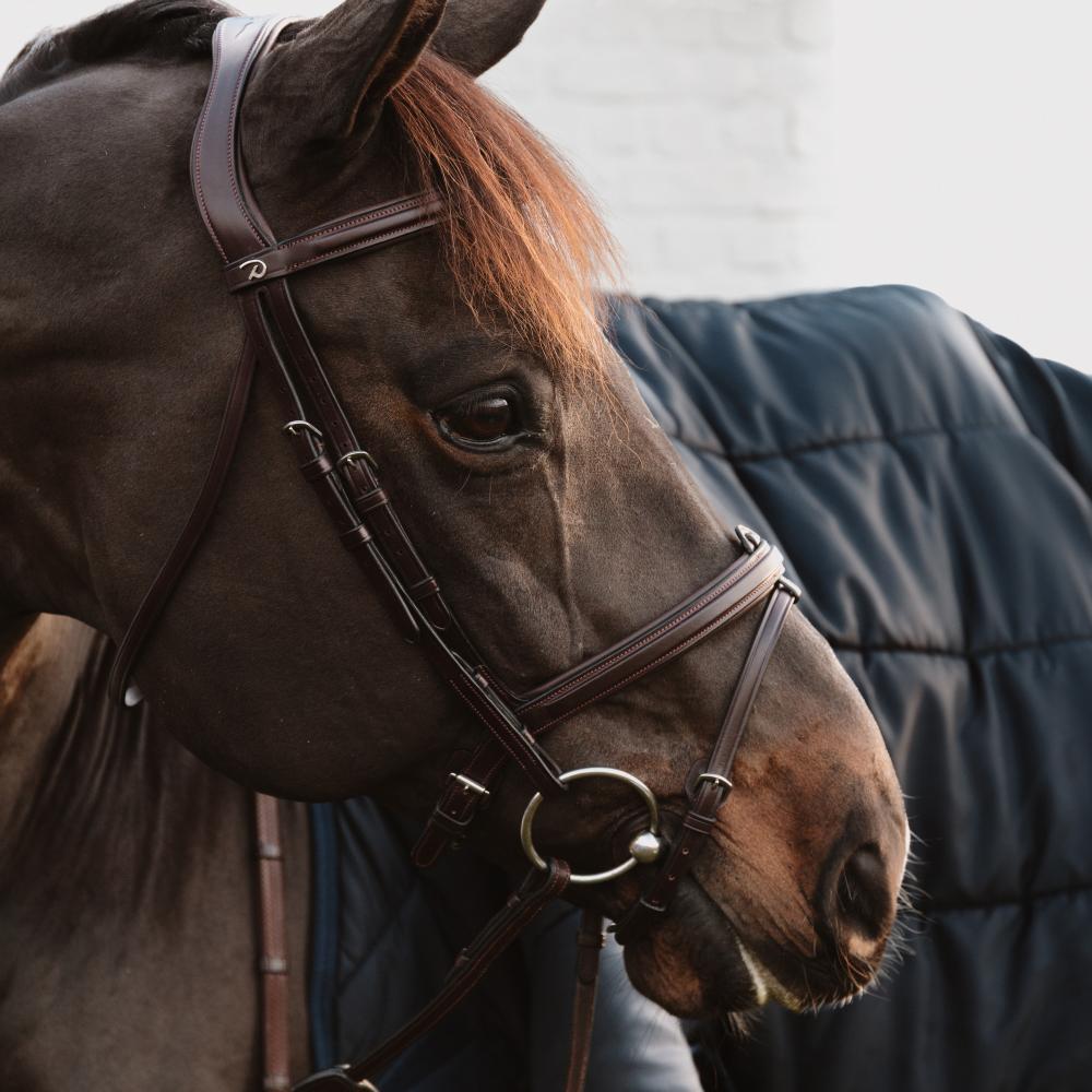 Dy'on Flash Nose Strap With Chain New English Collection - Equiluxe Tack