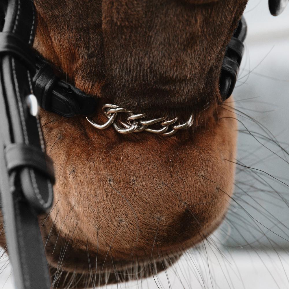 Dy'on Flash Nose Strap With Chain New English Collection - Equiluxe Tack