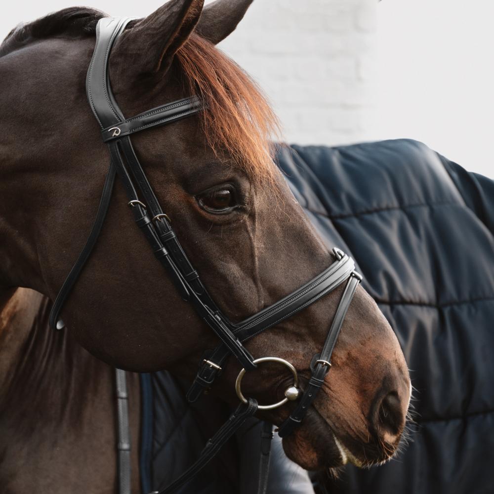 Dy'on Flash Nose Strap With Chain New English Collection - Equiluxe Tack
