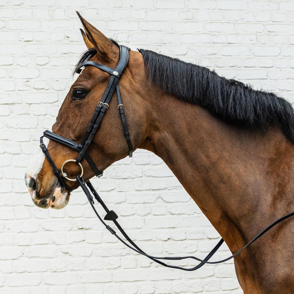 Dy'on Flash Noseband Bridle Soft Collection - Equiluxe Tack