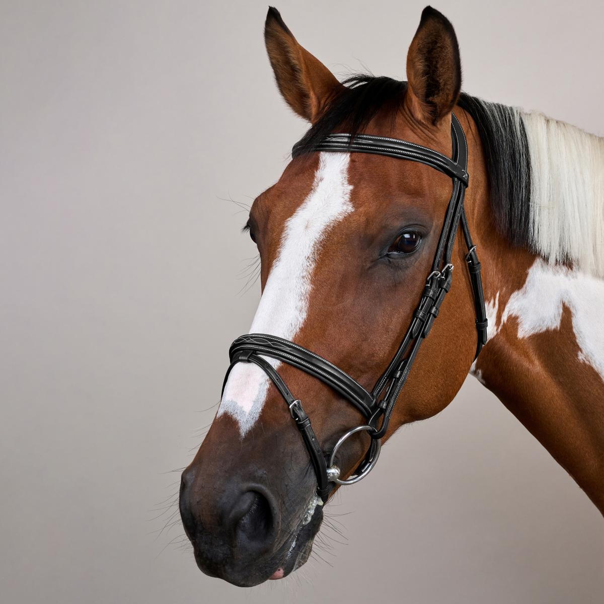 Dy'on Flash Noseband Bridle US - Equiluxe Tack