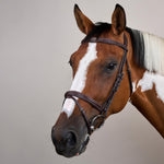 Dy'on Flash Noseband Bridle US - Equiluxe Tack