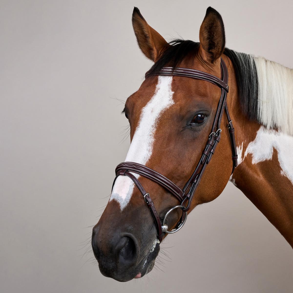 Dy'on Flash Noseband Bridle US - Equiluxe Tack
