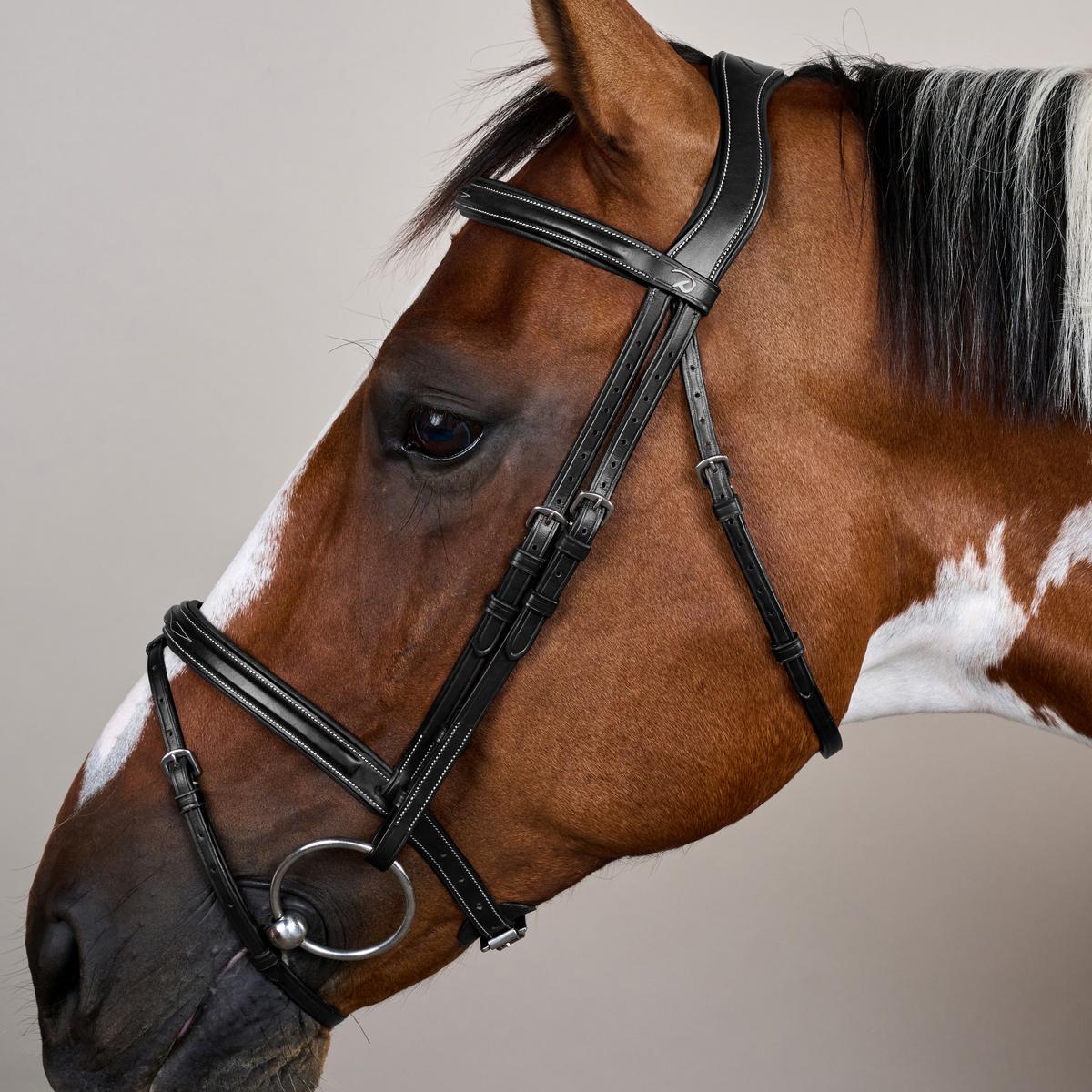 Dy'on Flash Noseband Bridle US - Equiluxe Tack