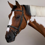 Dy'on Flash Noseband Bridle US - Equiluxe Tack