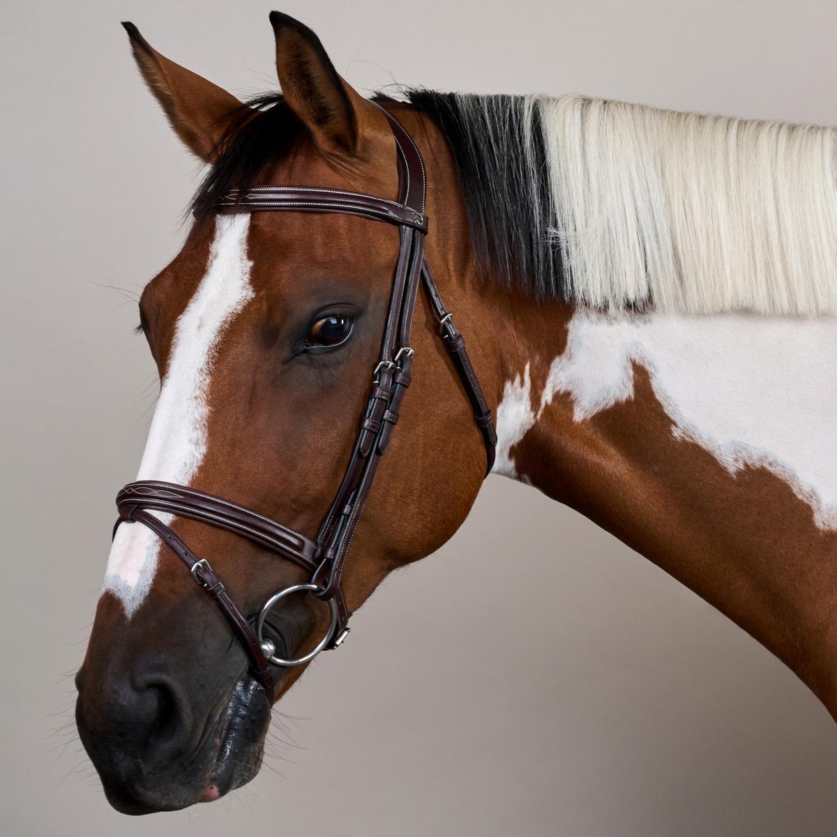 Dy'on Flash Noseband Bridle US - Equiluxe Tack