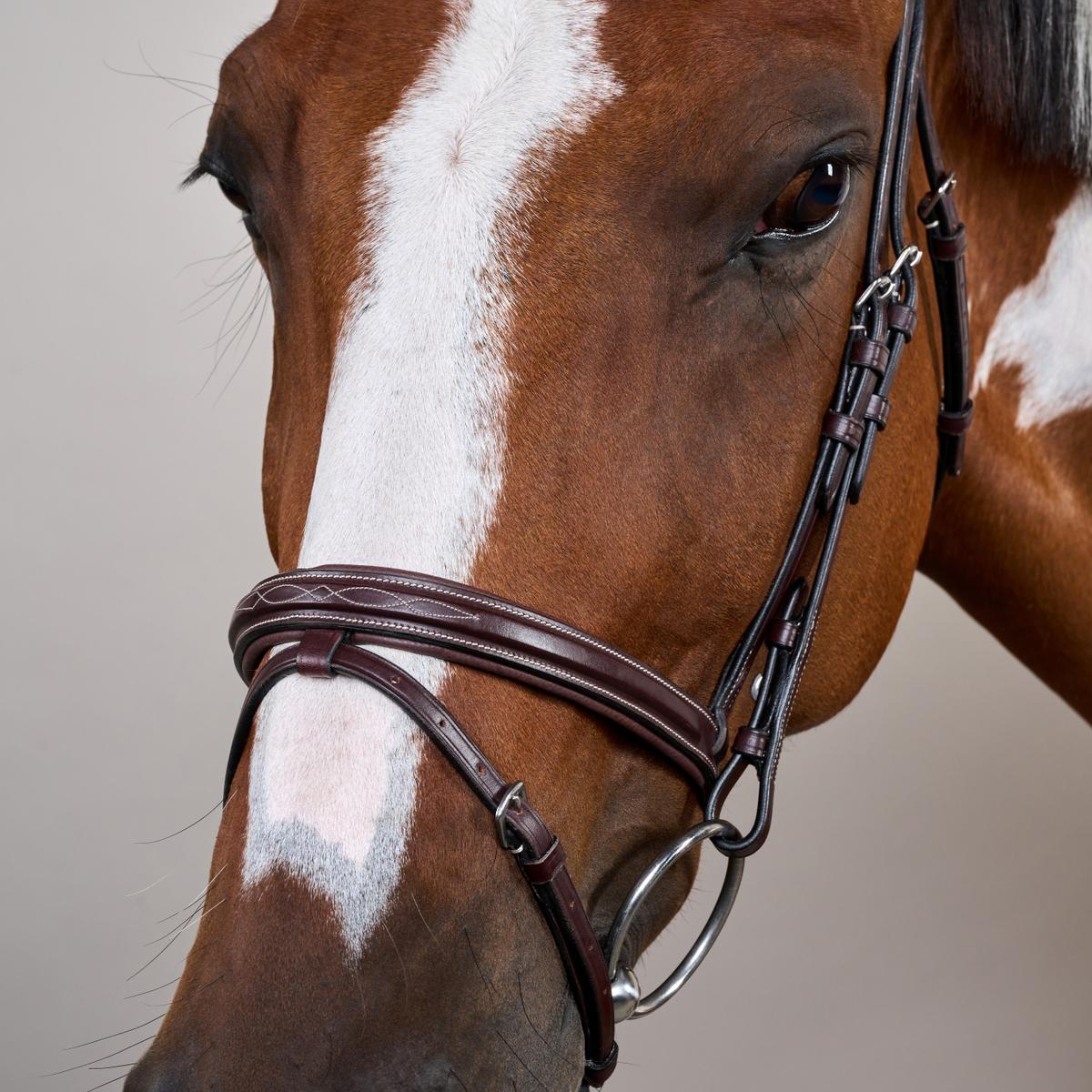 Dy'on Flash Noseband Bridle US - Equiluxe Tack