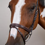 Dy'on Flash Noseband Bridle US - Equiluxe Tack