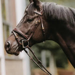 Dy'on Gag Cheekpieces - Equiluxe Tack