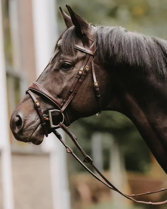 Dy'on Gag Cheekpieces - Equiluxe Tack