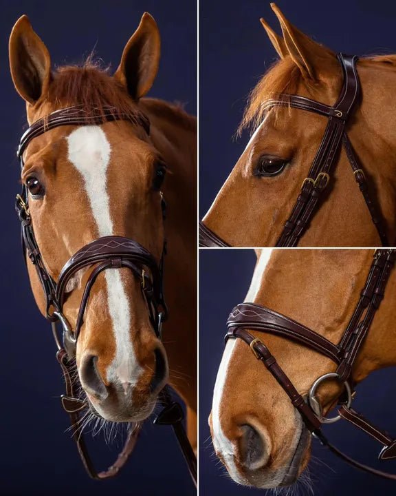 Dy'on Gag Cheekpieces - Equiluxe Tack