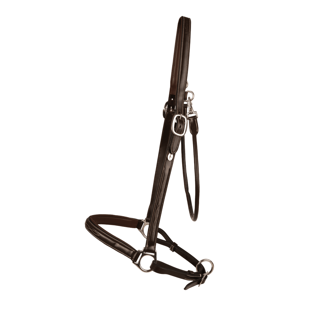 Dy'on Grooming Halter - Equiluxe Tack