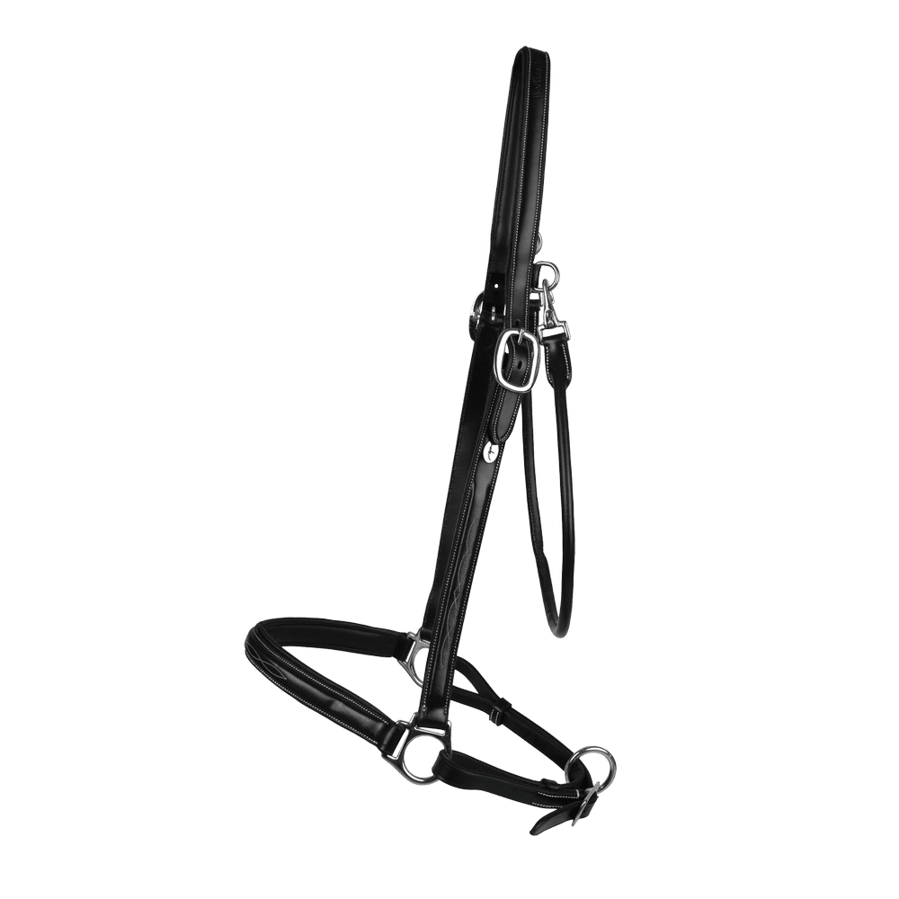 Dy'on Grooming Halter - Equiluxe Tack