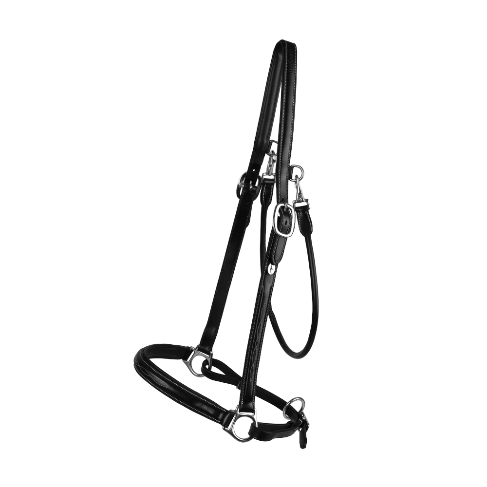 Dy'on Grooming Halter - Equiluxe Tack