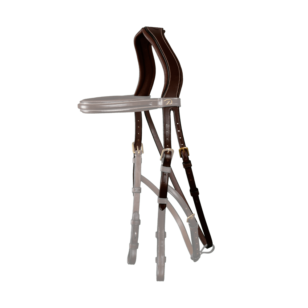 Dy'on Hackamore Headpiece - Equiluxe Tack