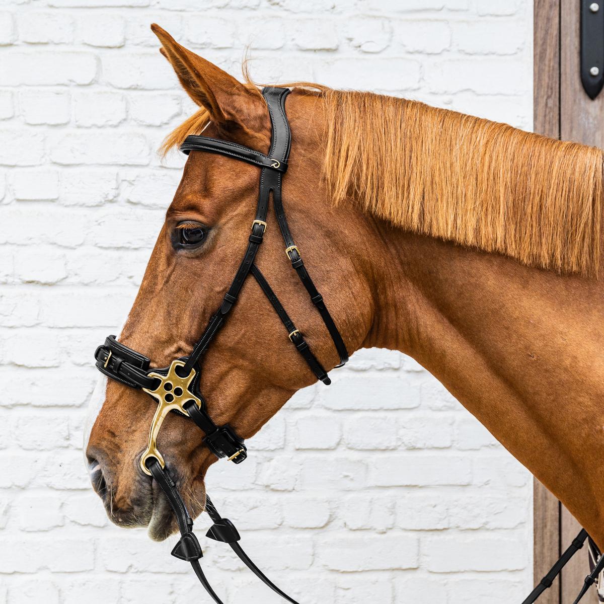 Dy'on Hackamore Pony Collection - Equiluxe Tack