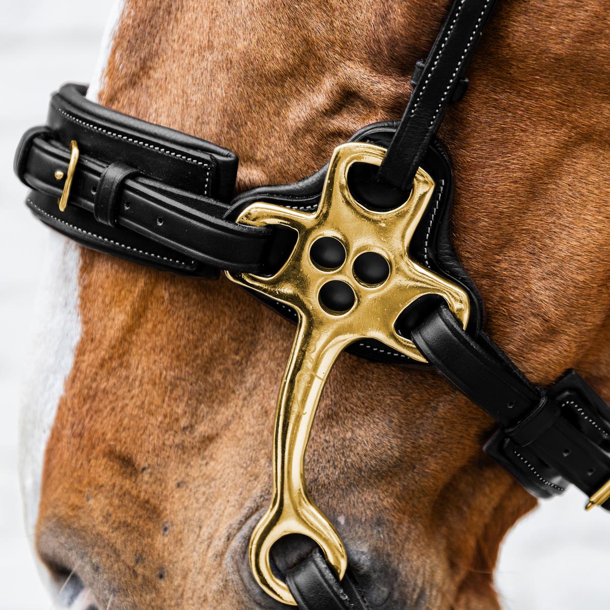 Dy'on Hackamore Pony Collection - Equiluxe Tack