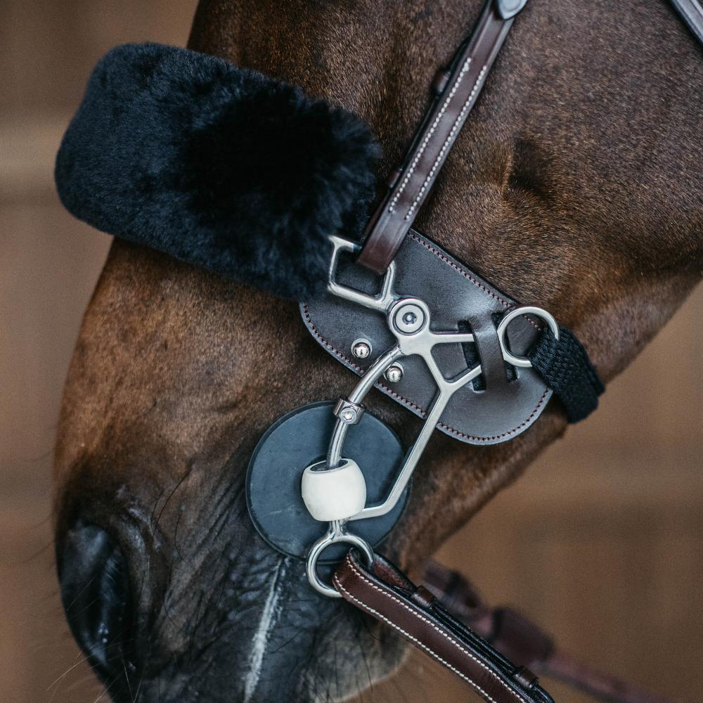 Dy'on Hackamore Protection - Equiluxe Tack