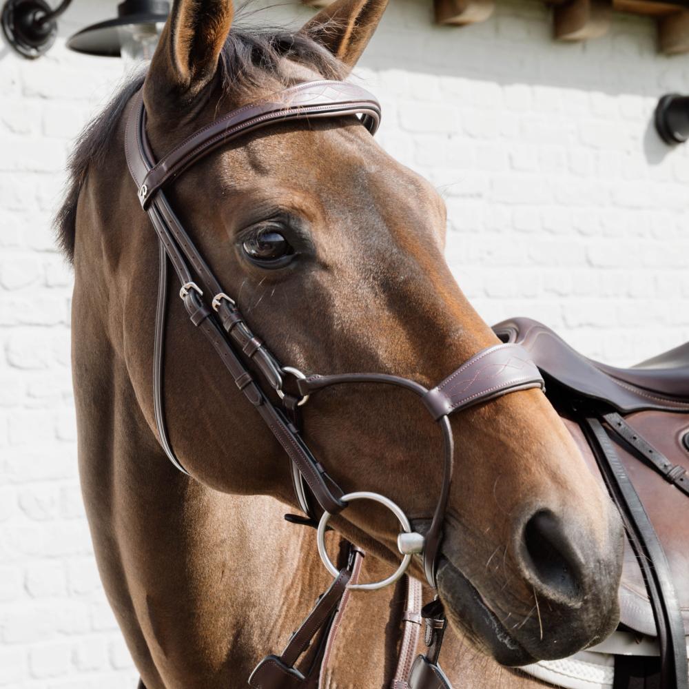 Dy'on Hybrid Noseband New English Collection Full Black - Equiluxe Tack