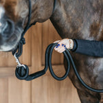 Dy'on Lead with Removable Snap - Equiluxe Tack