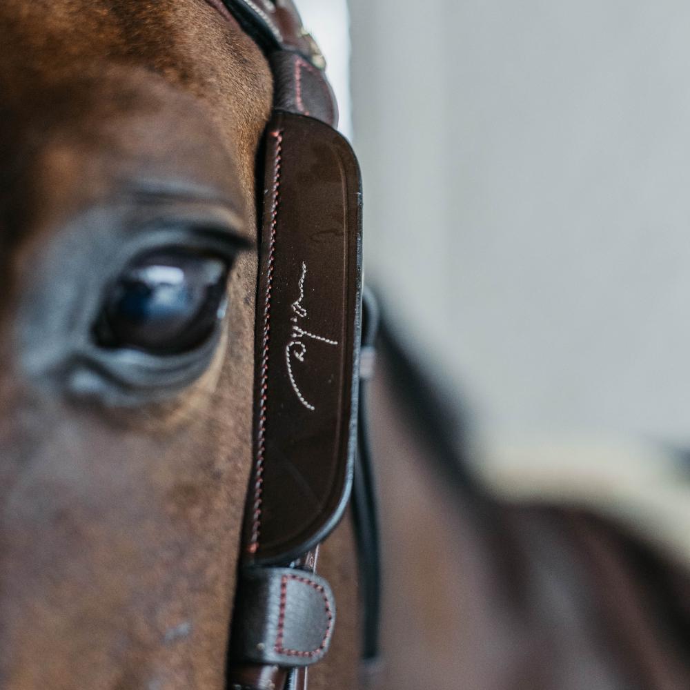 Dy'on Leather Blinkers With Fancy Stitching - Equiluxe Tack