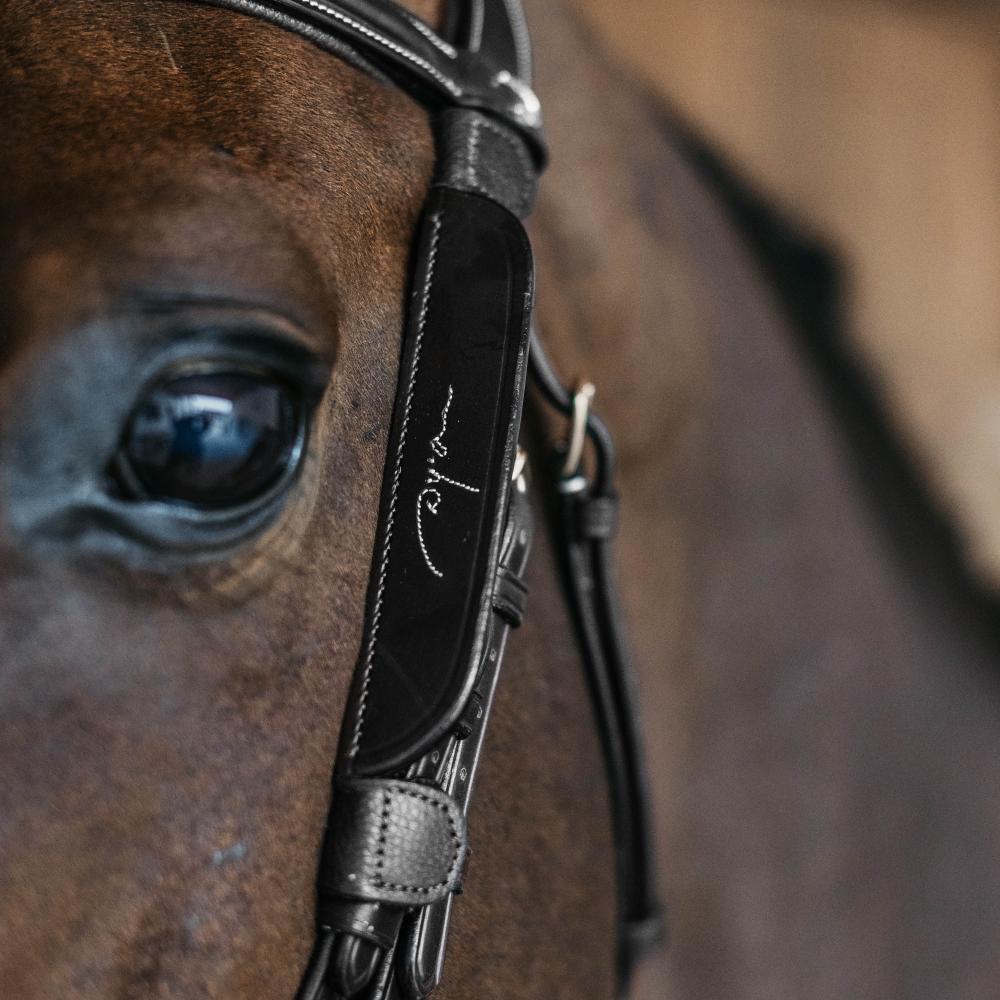 Dy'on Leather Blinkers With Fancy Stitching - Equiluxe Tack