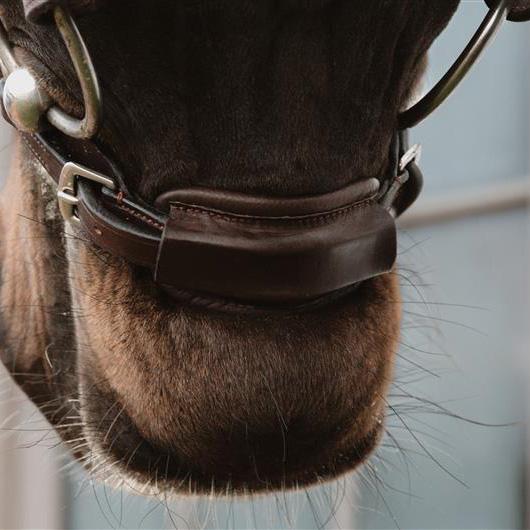 Dy'on Leather Closure 1/2" New English Collection - Equiluxe Tack