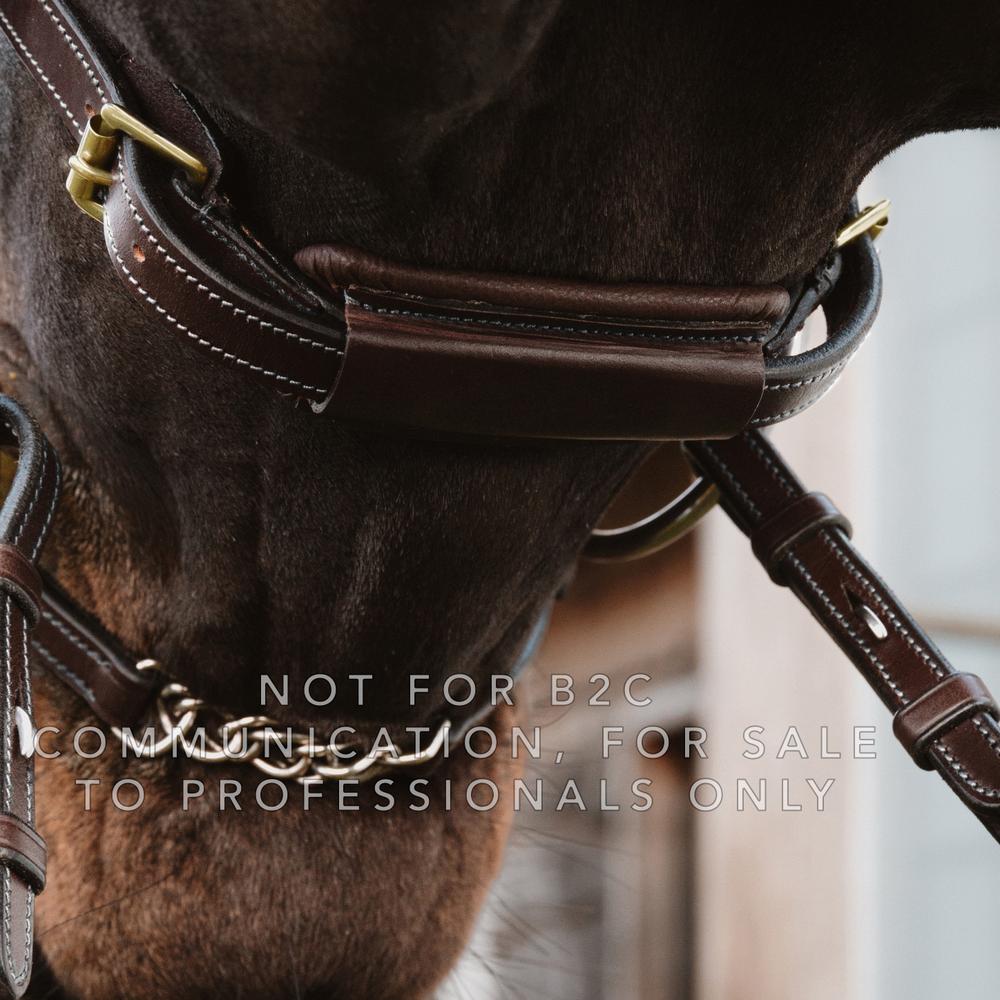Dy'on Leather Closure 5/8" D Collection - Equiluxe Tack
