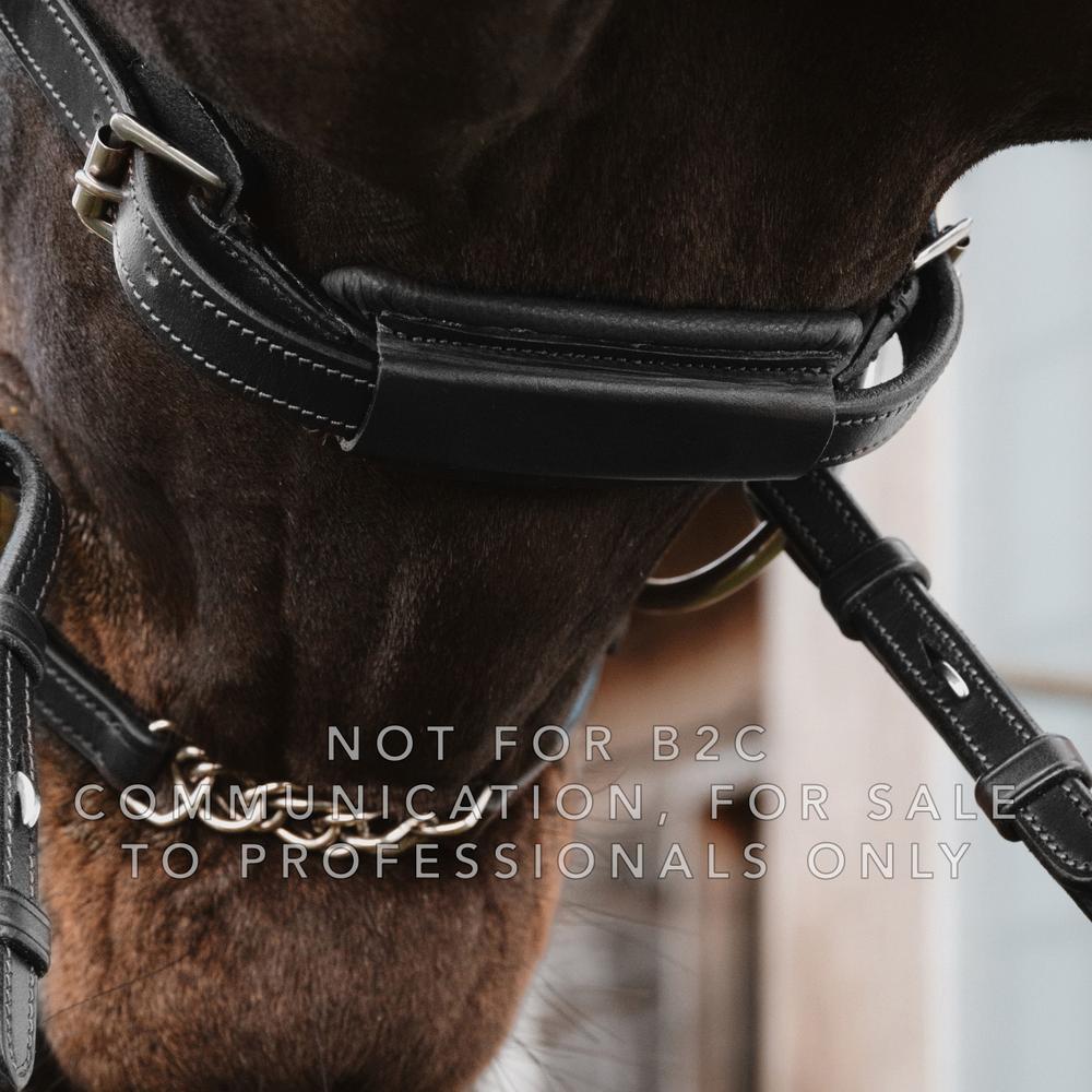 Dy'on Leather Closure 5/8" New English Collection - Equiluxe Tack