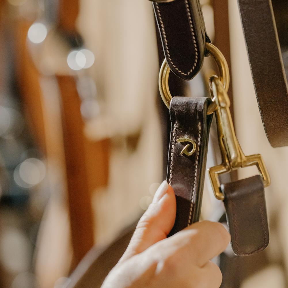 Dy'on Leather Halter - Equiluxe Tack