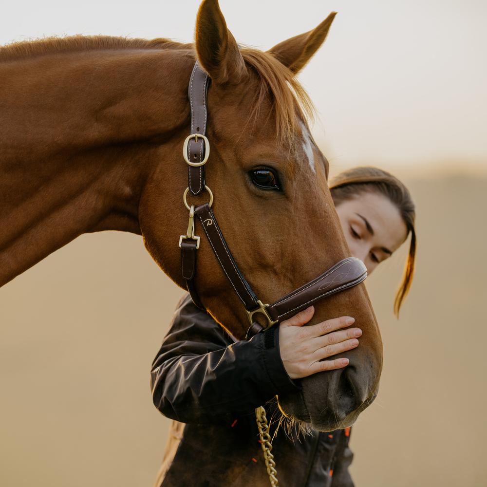 Dy'on Leather Halter - Equiluxe Tack