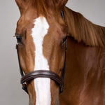 Dy'on Leather Halter Fancy Working Collection - Equiluxe Tack