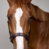 Dy'on Leather Halter Fancy Working Collection - Equiluxe Tack