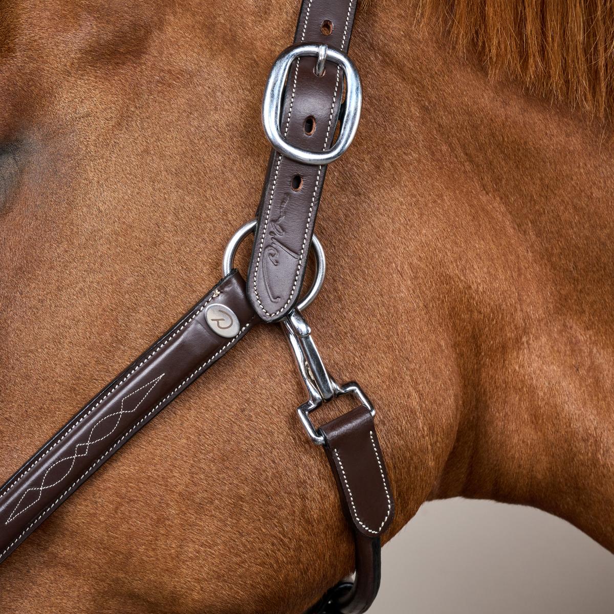 Dy'on Leather Halter Fancy Working Collection - Equiluxe Tack