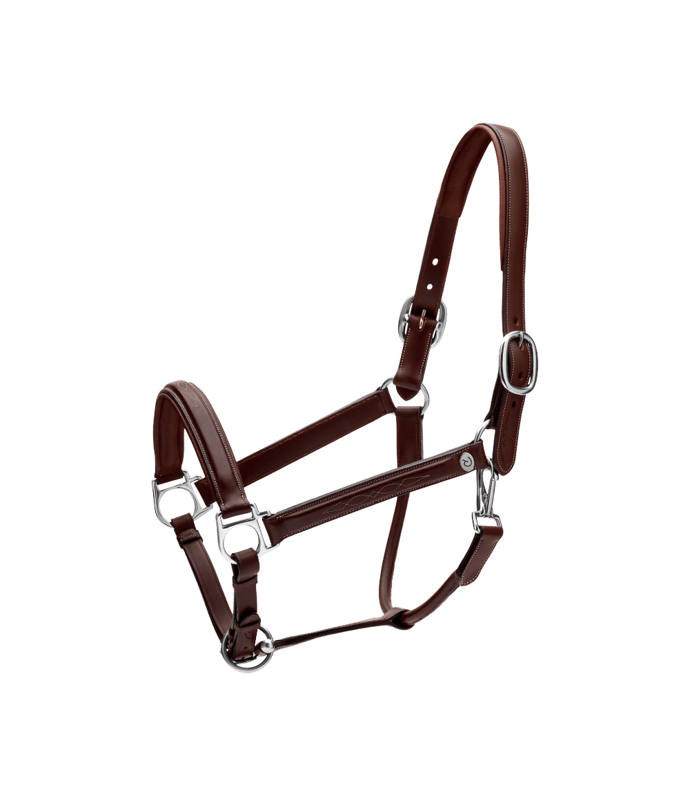 Dy'on Leather Halter Fancy Working Collection - Equiluxe Tack