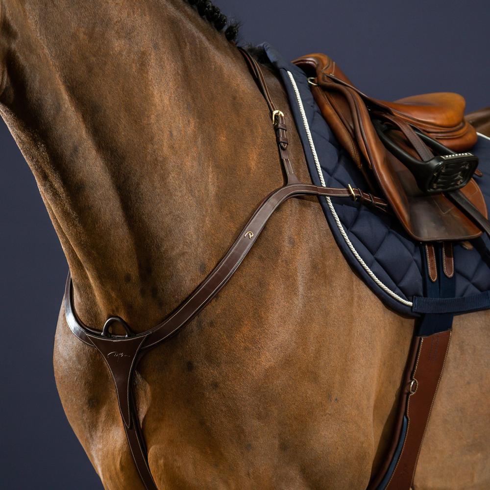 Dy'on Long Bridge Breastplate - Equiluxe Tack