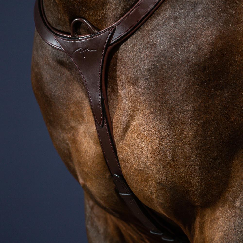 Dy'on Long Bridge Breastplate New English Collection - Equiluxe Tack