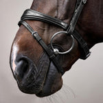 Dy'on New English Collection Anatomic Flash Noseband Bridle - Equiluxe Tack