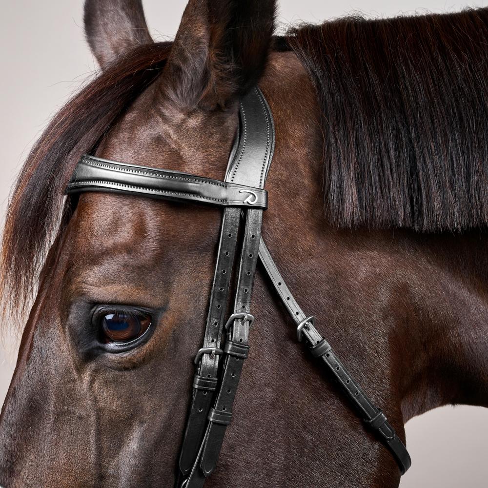 Dy'on New English Collection Anatomic Flash Noseband Bridle - Equiluxe Tack