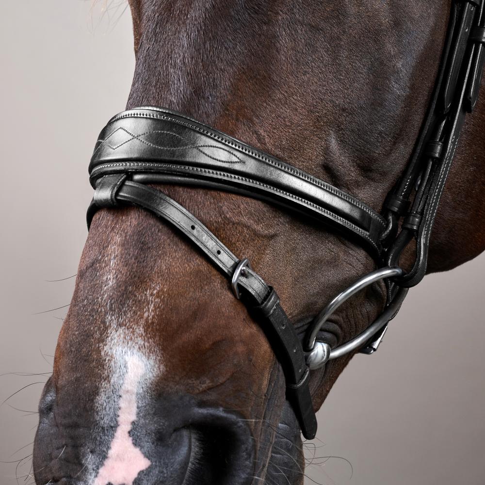 Dy'on New English Collection Anatomic Flash Noseband Bridle - Equiluxe Tack