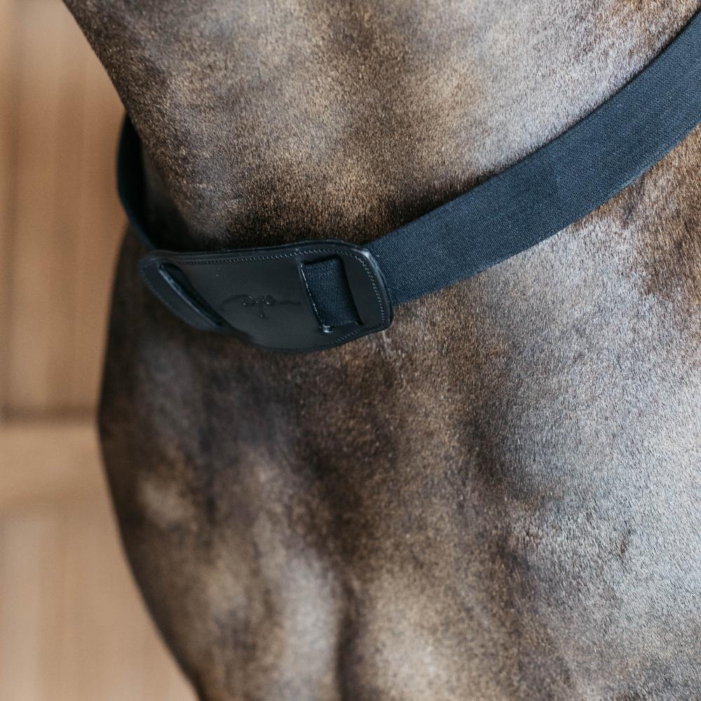 Dy'on New English Collection Elastic Breastplate - Equiluxe Tack