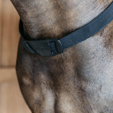 Dy'on New English Collection Elastic Breastplate - Equiluxe Tack