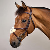 Dy'on New English Collection Figure 8 Noseband Bridle - Equiluxe Tack