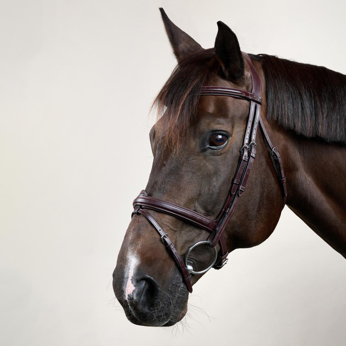 Dy'on New English Collection Flash Noseband Bridle - Equiluxe Tack