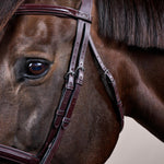 Dy'on New English Collection Flash Noseband Bridle - Equiluxe Tack