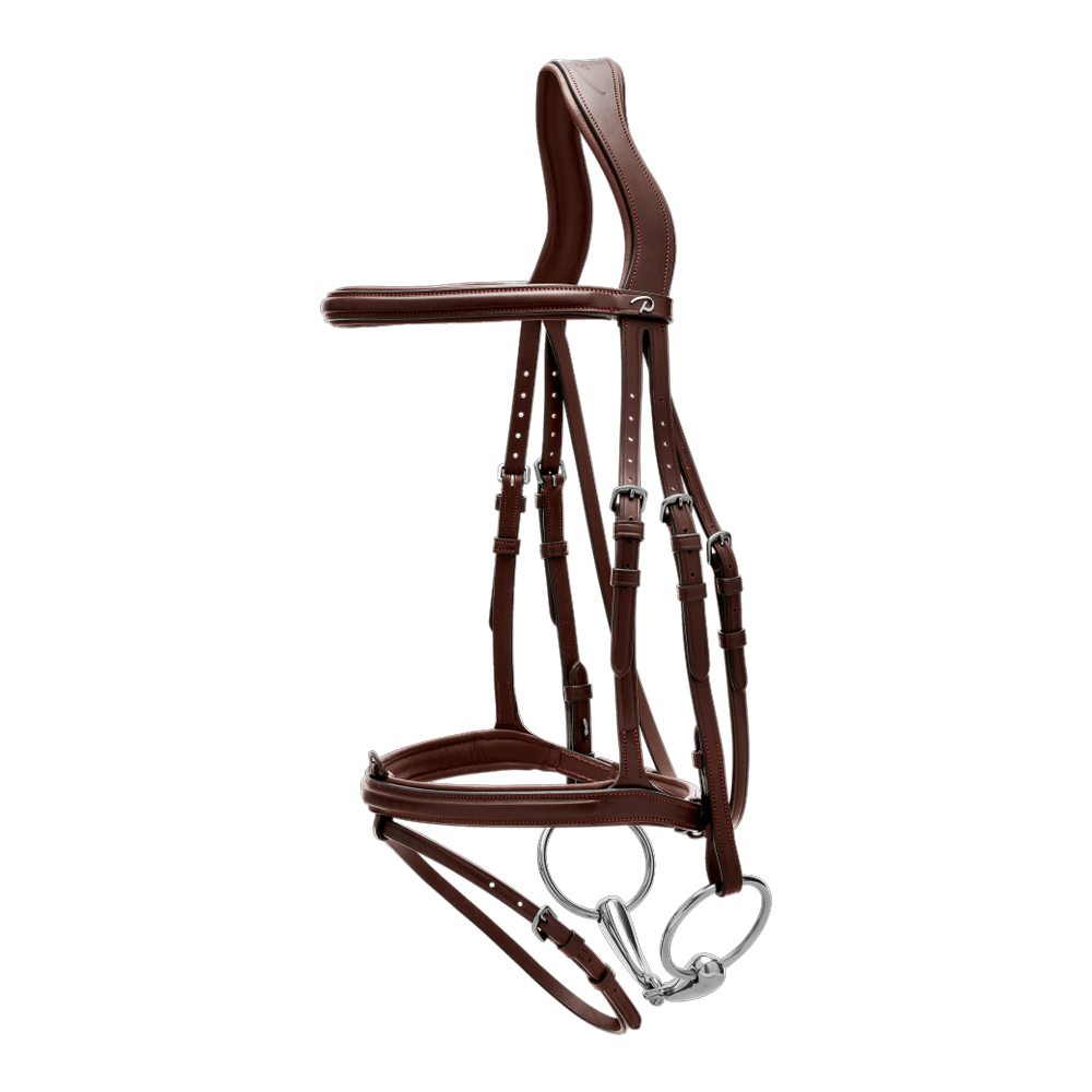 Dy'on New English Collection Flash Noseband Bridle - Equiluxe Tack