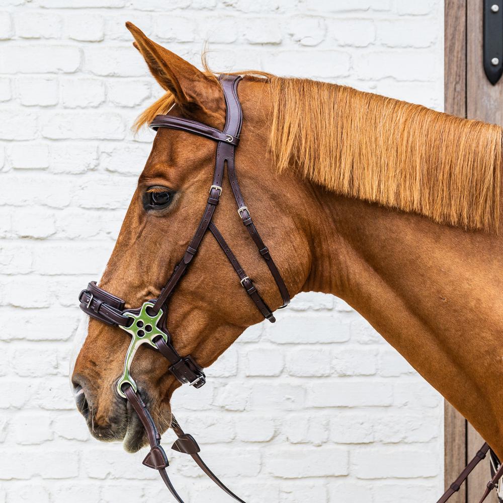 Dy'on New English Collection Hackamore Bridle - Equiluxe Tack