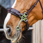 Dy'on New English Collection Hackamore - Equiluxe Tack